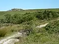 Monts d'Arrée