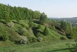 Přírodní památka Salabka