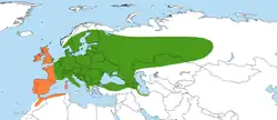 Areál rozšíření