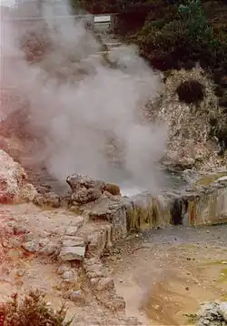 Azores - São Miguel - Horký pramen poblíž Furnas, srpen 1998