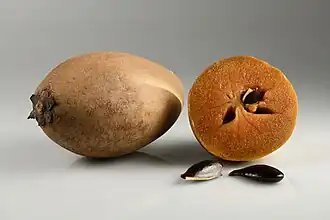 alternativní popis obrázku chybí