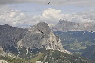 Sassongher a Sas dla Santa Crusc Val Badia