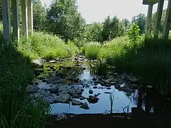 Sausdravas u vsi Žlibinai, okr. Plungė, pod mostem silnice č. 3205