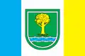 Savraňský rajón – vlajka