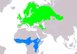 Rozšíření bramborníčka hnědého