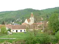Schönberg am Kamp