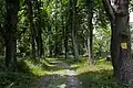 Zámecký park v Lichtenau