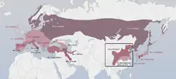 Mapa s rozšířením jednotlivých poddruhů