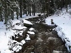 V údolí nad Pobershau
