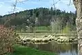 Rybník