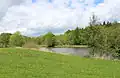 Rybník Babinec