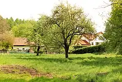 Kozinec