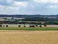 Uhřice zdáli