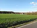 Pohled na ves zdáli