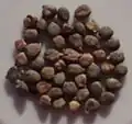 Semena