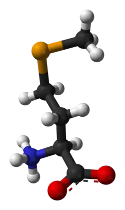 Model molekuly