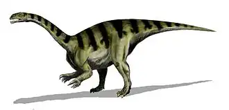 Plateosaurus triasový sauropodomorf
