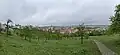 Seminářská zahrada panorama (2025)