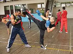 Nácvik savate