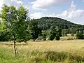 Od silnice mezi Práchní a Horním Pryskam