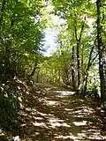 Turistická stezka na Monte Venda