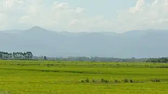 krajina v pampě (Brazílie)
