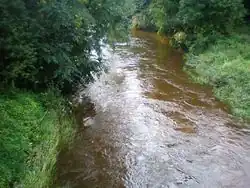 Střední tok řeky