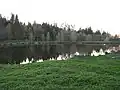 Rybník