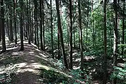 Severní val