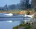 Surfování na řece Severn v Anglii.