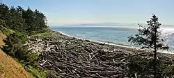Pobřeží ve Fort Ebey State Park