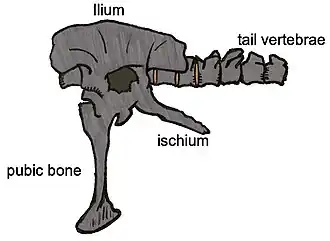 alternativní popis obrázku chybí