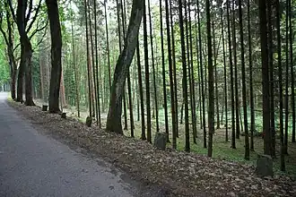 Kamenné patníky před Janovičkami