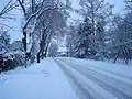 Silnice v zimě