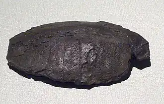 Sinaspideretes wimani