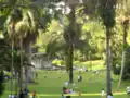 Palm Valley