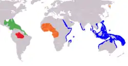 Mapa rozšíření sirén:      kapustňák širokonosý      kapustňák jihoamerický      kapustňák senegalský      dugong indický      †koroun bezzubý