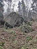 Skály