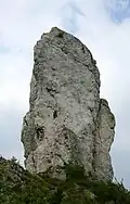 Wysoka