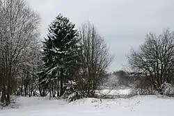 Skalák u Senotína