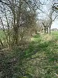Skalka_(Velim)_1.jpg