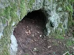 Skalky skřítků