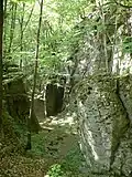 Skalní rozsedlina u Vysokého kamene (tzv. Trpasličí rokle)