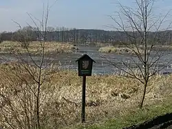 Pohled na rybník Skalský