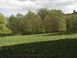 Skalsko (u Pohoří) - tvrziště Na zámku (2).JPG