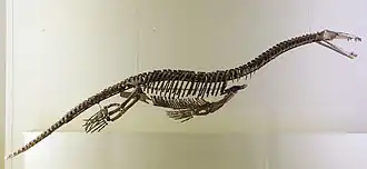 alternativní popis obrázku chybí