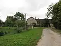Cesta