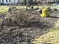 Skalka na návsi