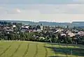 Rozhledové místo na svahu Štěpánovské stupňoviny na okraji přírodní rezervace poskytuje v jihozápadním směru vyhlídku na město Skuteč s dominantní věží kostela Nanebevzetí Panny Marie a vzdálený hřeben Železných hor v okolí Medkových kopců