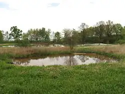 Rybník a kaliště